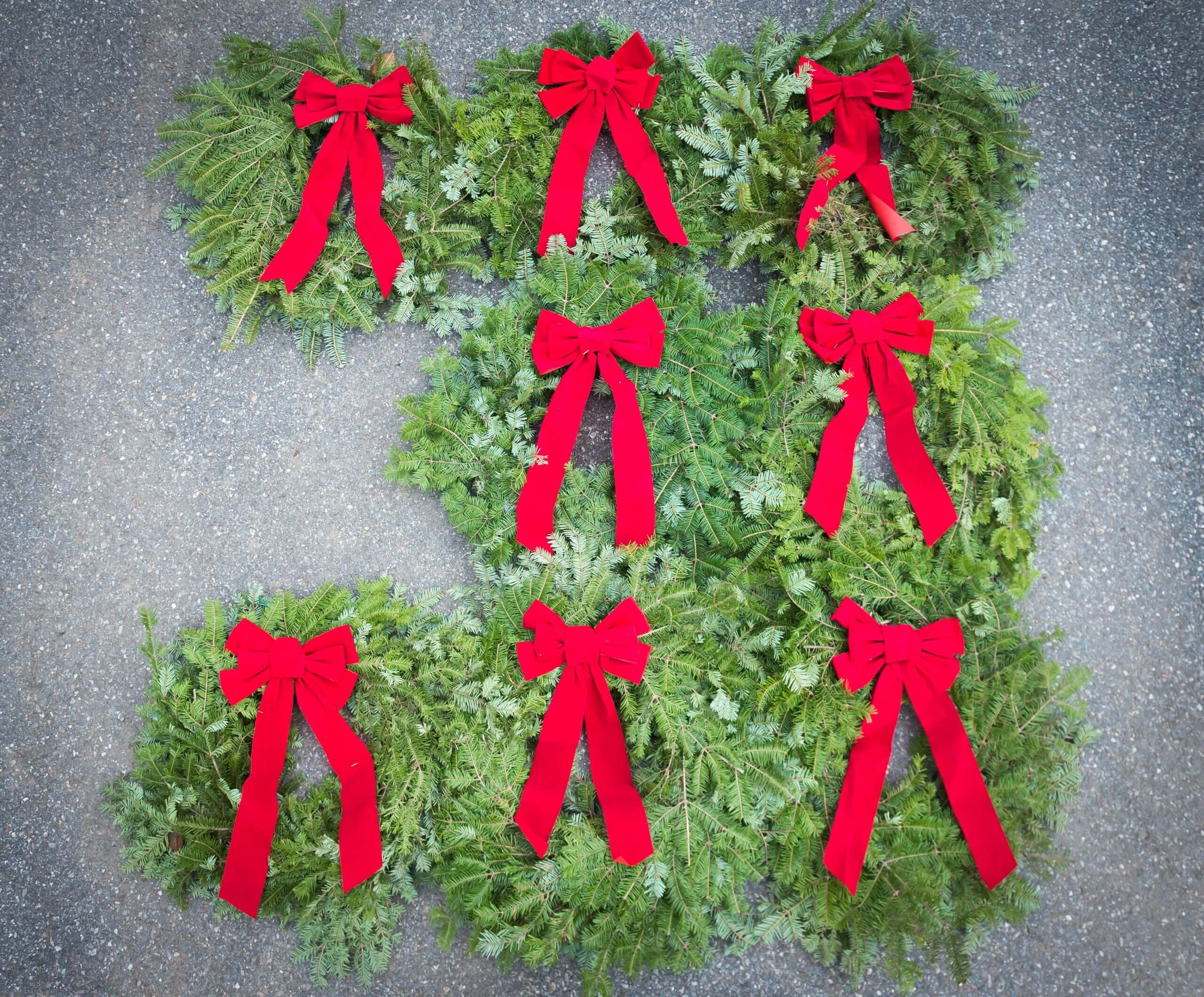 Several evergreen Christmas wreaths.