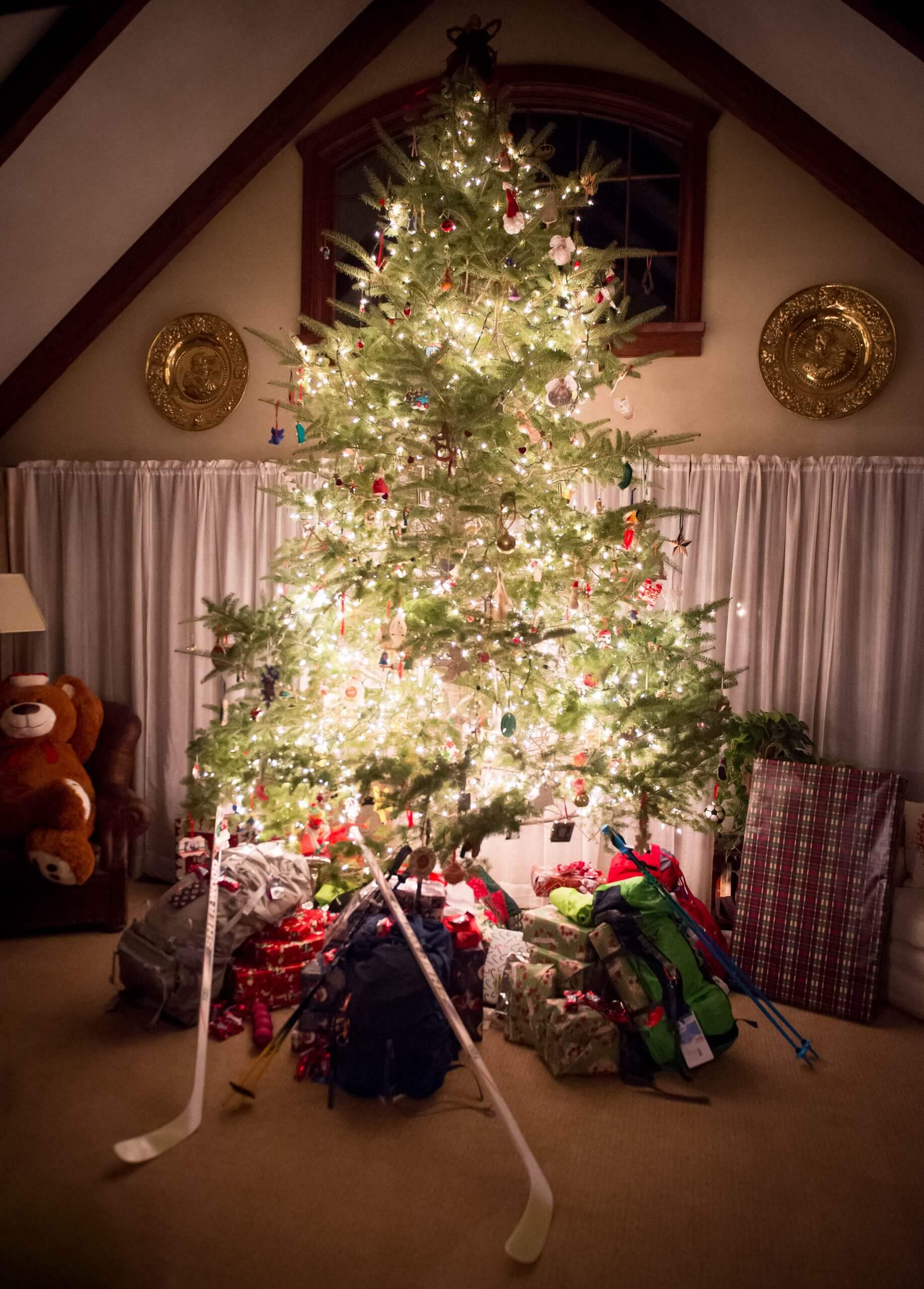 An evergreen Christmas tree is decorated with lights and ornaments. Below the tree are many gifts.