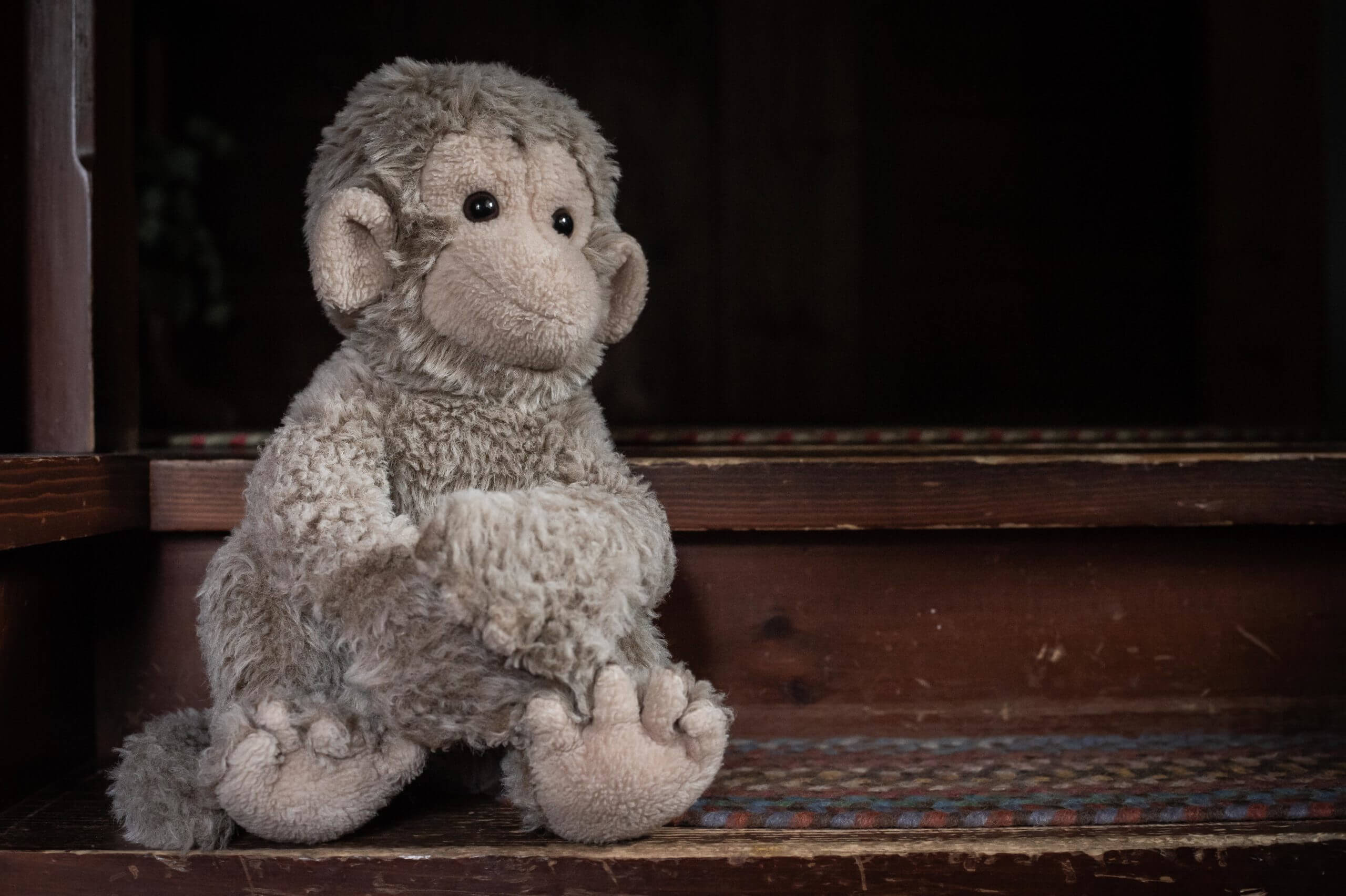 Color image of a stuffed animal money, with tan fur, sitting on a wood step looking out the window.