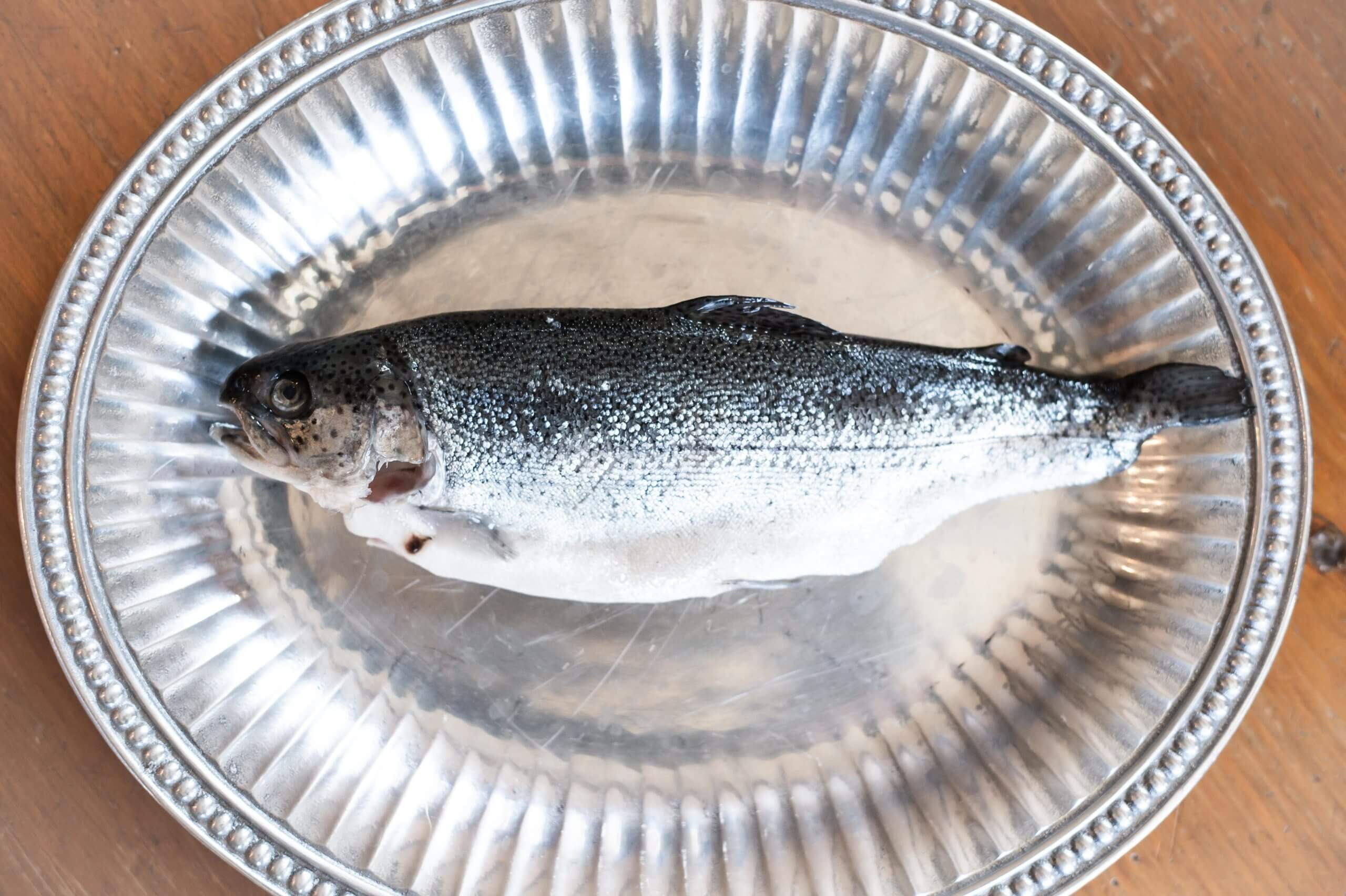 Color image of a dead trout on a pewter platter. The image is taken from above looking down on the twelve inch fish.