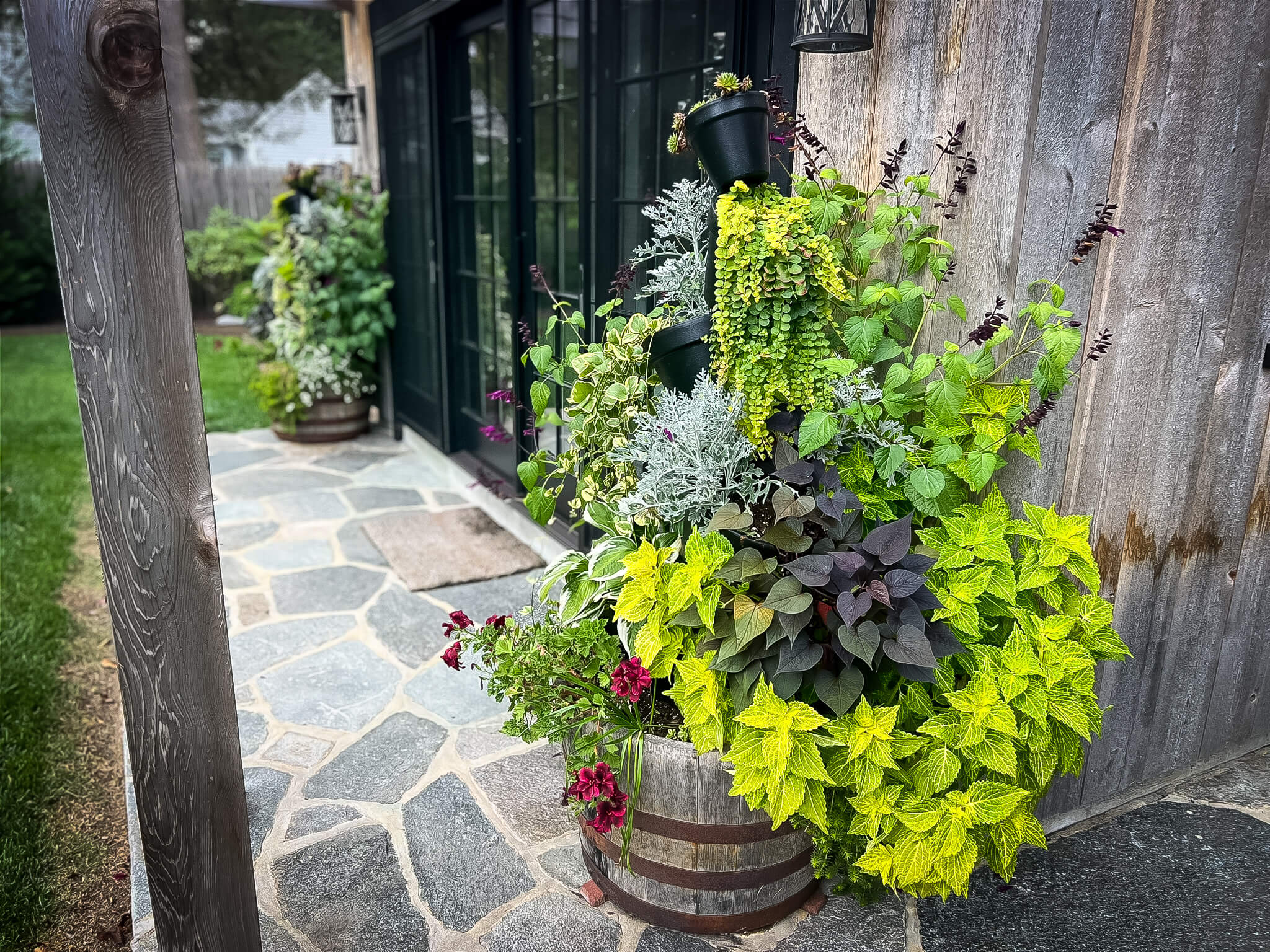 Color picture of a cascading planter with coleus, potato vine, creeping jenny, dusty miller, and other plants.